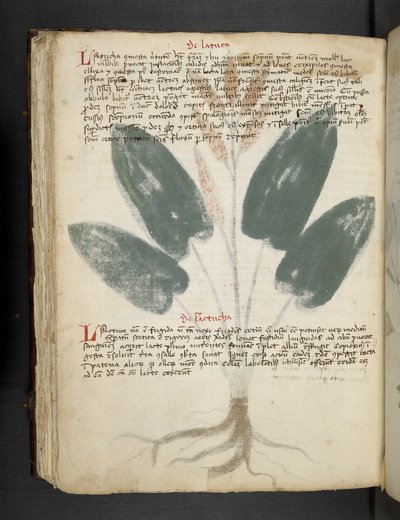 Adja hozzá az MS 41623 f.80v 