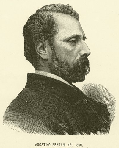 Agostino Bertani 1860-ban (metszet) alkotó: Italian School