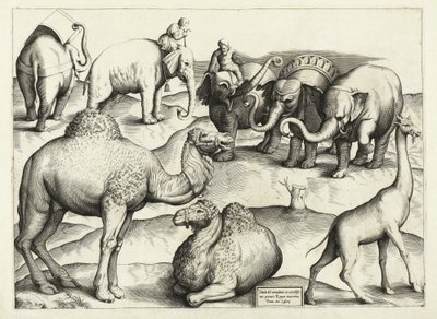 Állatfestmények az ókori Rómából, táblázat, 3., kocsma. Antonio Lafrere 1528 alkotó: Italian School