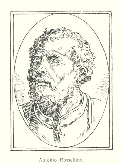 Antonio Rossellino (metszet) alkotó: Italian School