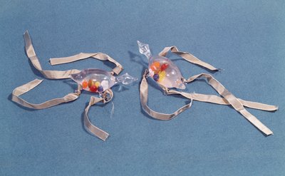 A firenzei Museo di Storia della Scienza két orvosi hőmérőjének másolata (üveg és szalag) alkotó: Italian School