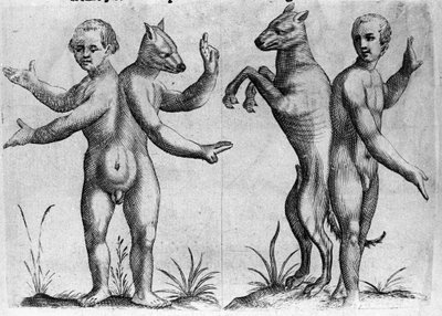Különböző típusú emberi szörnyek: két kettős testű lény, félig ember és kutya (sziámi). Metszet Fortunio Norsi (1577-1656) olasz tudós "A szörnyek természete, okaik és különbségeik" című könyvéből. 1646 alkotó: Italian School