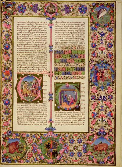 Fol.212r Toby könyve, a Borso d