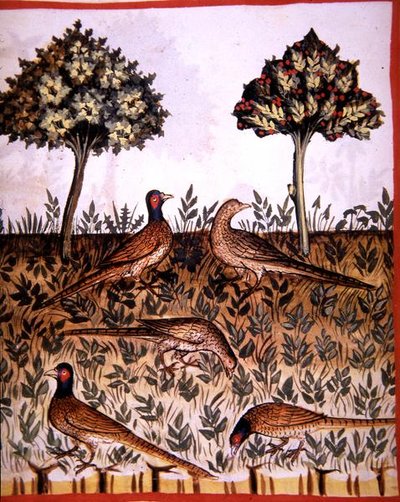 Fol.68v Fácánok, illusztráció a „Tacuinum Santiatis Codex Vindobonensis”-ből (vellum) alkotó: Italian School