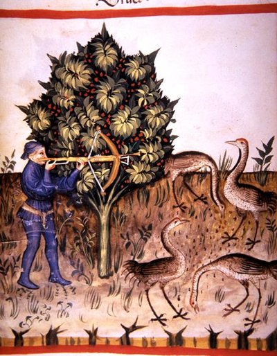 Fol.70v Vadászdaru, illusztráció a „Tacuinum Santiatis Codex Vindobonensis”-ből (vellum) alkotó: Italian School