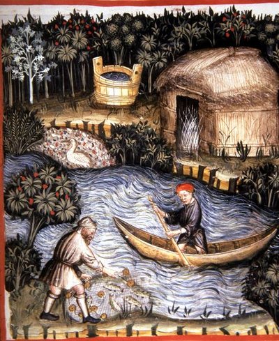 Fol.82r Friss hal, illusztráció a "Tacuinum Santiatis Codex Vindobonensis"-ből (pergamen) alkotó: Italian School