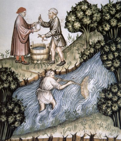Fol.84r Horgászat, illusztráció a Tacuinum Santiatis Codex Vindobonensisből alkotó: Italian School