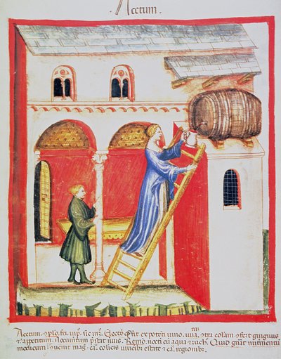 Fol.85v Ecet, illusztráció a Tacuinum Santiatis Codex Vindobonensisből alkotó: Italian School