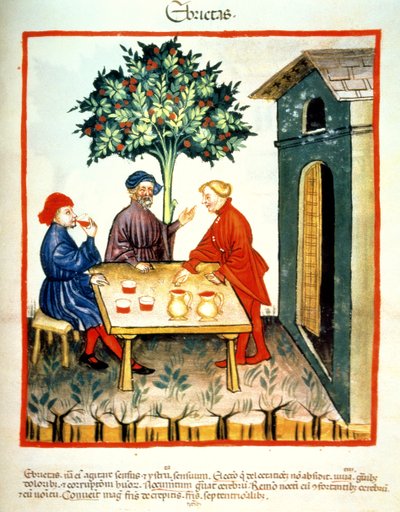 Fol.99r Részegség, illusztráció a Tacuinum Santiatis Codex Vindobonensisből alkotó: Italian School