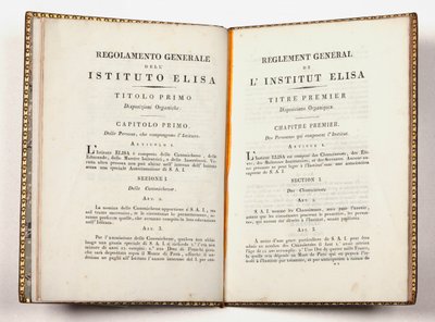 A luccai Instituto Elisa általános szabályzata, kiadva Luccában, 1811. július 14-én (nyomtatott) alkotó: Italian School