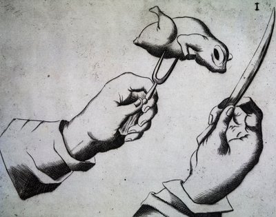 Hogyan vágjunk madarat, Illusztráció: Messer bajor bajor Mattia Giegher három traktátusa, a legjelentősebb német nemzet aprítója Padovában, Olaszországban alkotó: Italian School