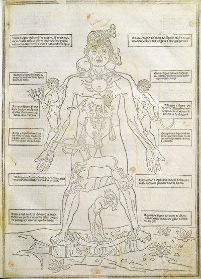Illusztráció a "Fassiculus Medicinae" Velencéből alkotó: Italian School
