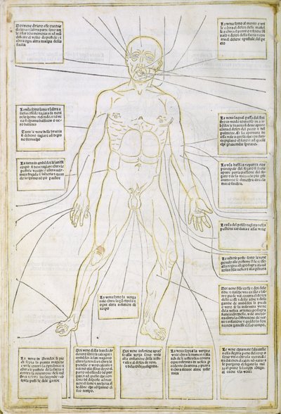 Illusztráció a "Fassiculus Medicinae" Velencéből alkotó: Italian School