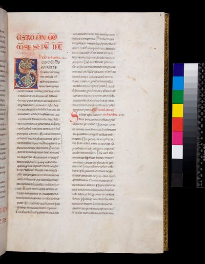 Ms 143. Nagy Gergely, Registrum Epistolarum, f.8r. Díszített iniciál [S] fehér szőlőlevél betéttel és végződésekkel alkotó: Italian School