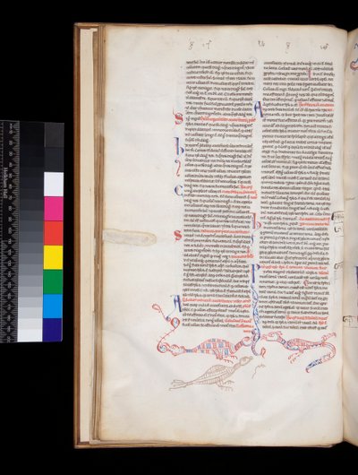 Ms 164. Peter Lombar, Sententiae, f.15v. madár/sárkány hibridekké fejlődött bas-de-page tollmunka dekoráció alkotó: Italian School