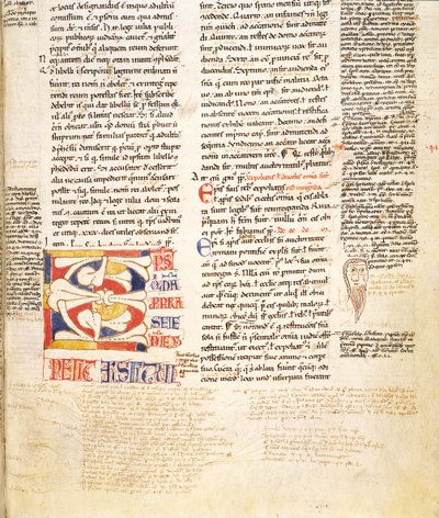 Ms. McClean 135, f.96r: részlet egy növényforma történetbe írt C kezdőbetűjéről a Gratians Decretumból, 12. század vége alkotó: Italian School