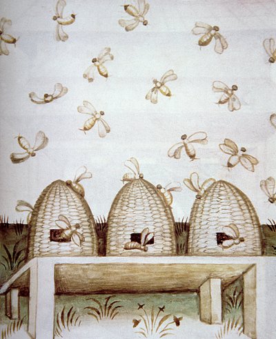 Nova 2644 fol.94v Beehves, a Tacuinum Sanitatis cégtől alkotó: Italian School