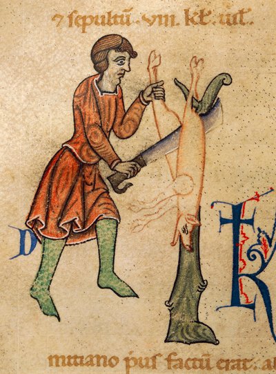 November, Mészáros disznó, Miniatűr Adonis Martyrologyból, Olaszországból alkotó: Italian School