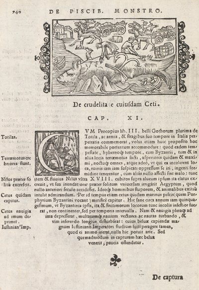 740. oldal az Észak története című művéből, Magnus Olaus, Róma, 1565 (nyomtatás és metszet) alkotó: Italian School