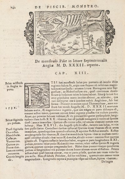 742. oldal az Északi Gentivus története című könyvéből, Magnus Olaus, Róma, 1565 (nyomtatás és metszet) alkotó: Italian School