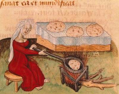 Oldal a Tractatus de Herbisből, Dioscorides Pedaniustól alkotó: Italian School