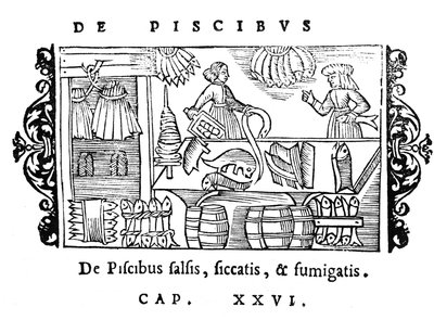 Hal sózása, szárítása és füstölése, illusztrációja Olaus Magnus (1490-1558) Historia de Gentibus Septentrionalibus című könyvéből, megjelent Rómában, 1555 alkotó: Italian School