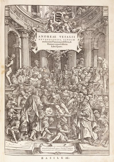 A szerző anatómiai boncolást végez egy sebészeti színházban, 1543 alkotó: Italian School