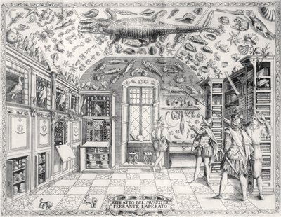 III. Ferdinánd császár Természettudományi Múzeuma a Historia Naturale-ból Ferrante Imperato (1550-1631) pub. 1672-ben alkotó: Italian School
