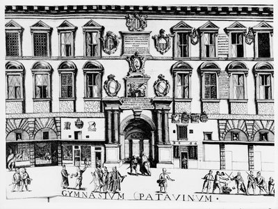 Padovai Egyetem alkotó: Italian School