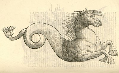 Equus marinus monstrosus illusztrációja Aldrovandis Szörnyek története , 1642 alkotó: Italian School