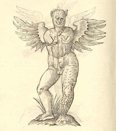 egy szárnyas szörny illusztrációja az Aldrovandis History of Monsters-ből, 1642 alkotó: Italian School
