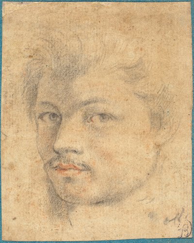 Egy ember feje alkotó: Italian or French 16th