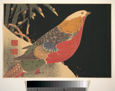 Aranyfácán a hóban, 1900 körül (fametszet, tinta és szín, papír) alkotó: Ito Jakuchu