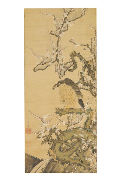 Umetaka-zu (Sólyom egy virágzó szilvaágon) alkotó: Ito Jakuchu