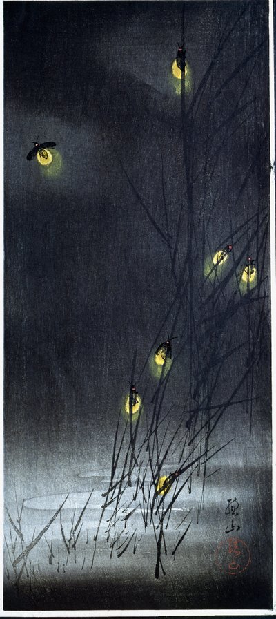 Szentjánosbogarak a nyári éjszakában. 1930-1950 (Xilográfia és japán nyomtatás) alkotó: Ito Sozan