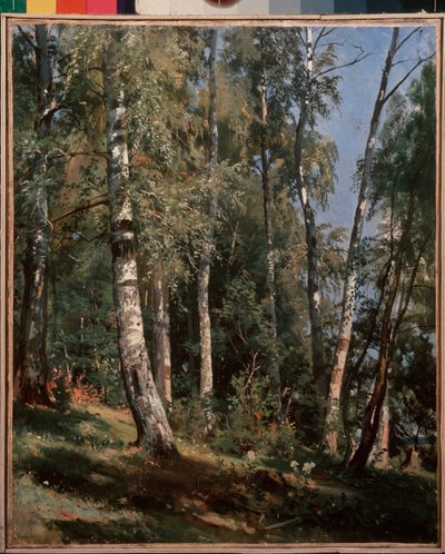 Birch grove (Birch grove) - Ivan Ivanovich Shishkin (Shishkin) festménye (1832-1898), olaj, vászon alkotó: Ivan Ivanovich Shishkin