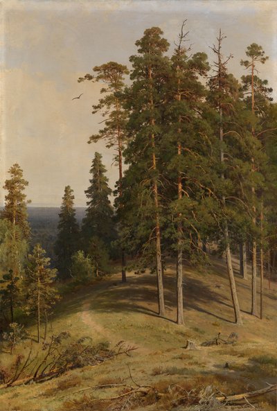 A fenyőerdő, 1895 alkotó: Ivan Ivanovich Shishkin