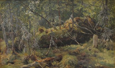 Ágazatok. Tanulmány alkotó: Ivan Ivanovich Shishkin