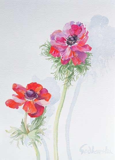 Anemone, 1998 (wc papíron) (lásd: 124451) alkotó: Izabella Godlewska de Aranda