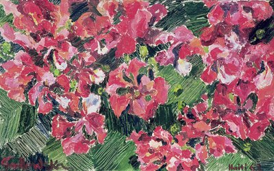 Rhododendron, 1962 alkotó: Izabella Godlewska de Aranda