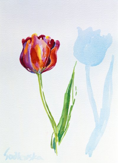 Tulipán, 1998 (wc papíron) (lásd még: 124446 és 124447) alkotó: Izabella Godlewska de Aranda