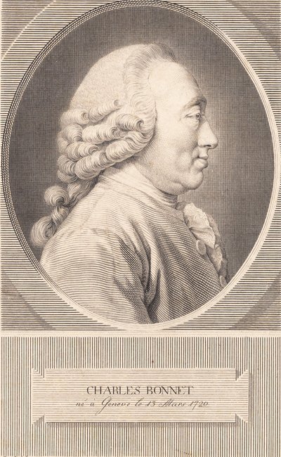 Charles Bonnet alkotó: J.F. Clemens