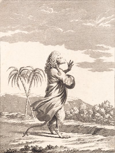 Martiniai majom macska alkotó: J.F. Clemens