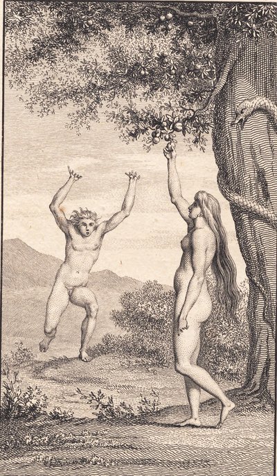 Illusztráció Ewald „Ádám és Éva” című művéhez. III alkotó: J.F. Clemens