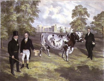 Sir Charles Morgan bemutatja IV. Vilmos királynak egy Shorthorn bikát a monmouth -i Tredegar kastélyban, M. Gauci metszete alkotó: J.H. (after) Carter