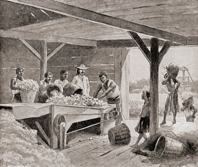 Rabszolgák, akik 19. századi pamutginnel dolgoznak egy ültetvényen az Amerikai Egyesült Államok déli államában, az 1905-ben megjelent „Hazánk története” című könyvből (litho) alkotó: J. (after) Steeple Davis