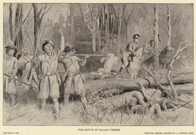 A bukott fa csata (litho) alkotó: J. (after) Steeple Davis