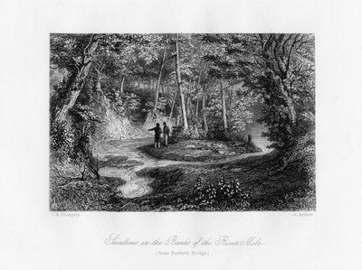 Fecskék a Mole folyó partján, Surrey, 19. század alkotó: J. Archer