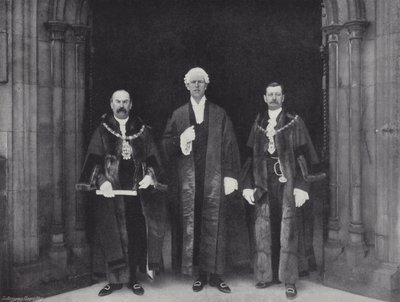 Petíciók benyújtása az alsóházhoz alkotó: J. Benjamin Stone