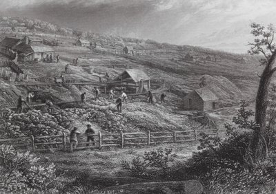 Ausztrália: Concordia Gold Mines (metszet) alkotó: J. C. Armytage